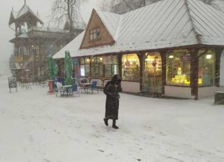 Хуртовина: Як Трускавець засипає снігом (ФОТО, ВІДЕО)