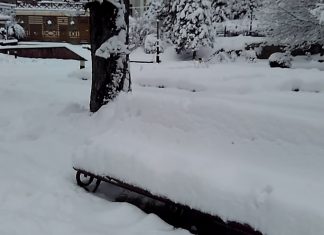 Як у снігових заметах Трускавця грає цимбаліст (ВІДЕО)
