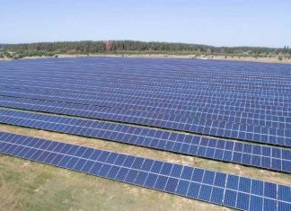На Старосамбірщині планують збудувати сонячну електростанцію