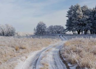 У полі на Львівщині виявили труп