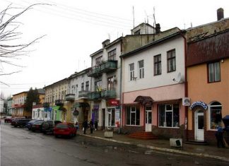 У Мостиськах рятувальники витягнули собаку з каналізаційного люка