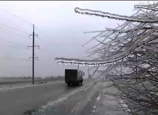 На Львівщині врятували 18 автомобілів