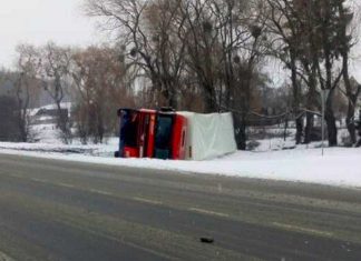 На трасі Київ-Чоп на Львівщині перекинулася вантажівка (ФОТО)