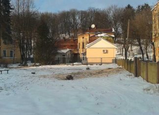 У Львові біля вілли Бачевських на вул. Вітовського зрубали дерева (ФОТО)
