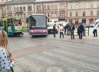 У центрі Львова мікроавтобус протаранив рейсовий автобус (ФОТО)