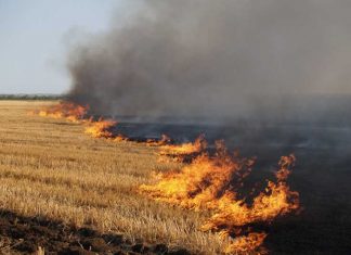 На Львівщині через підпал сухої трави згорів будинок