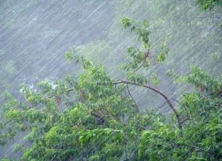 Сьогодні у Львові збережеться дощова погода