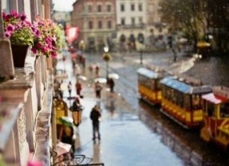 Куди піти і що подивитися у Львові 24-26 серпня