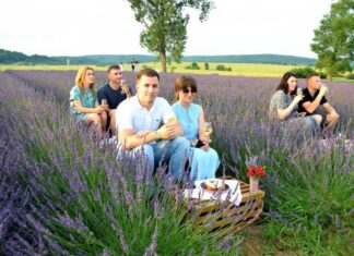 Лавандові та гортензієві поля і парк майбутнього: Що туристи можуть побачити біля Бібрки
