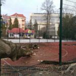 У Трускавці сильний вітер повиривав дерева з корінням (ФОТО, ВІДЕО)